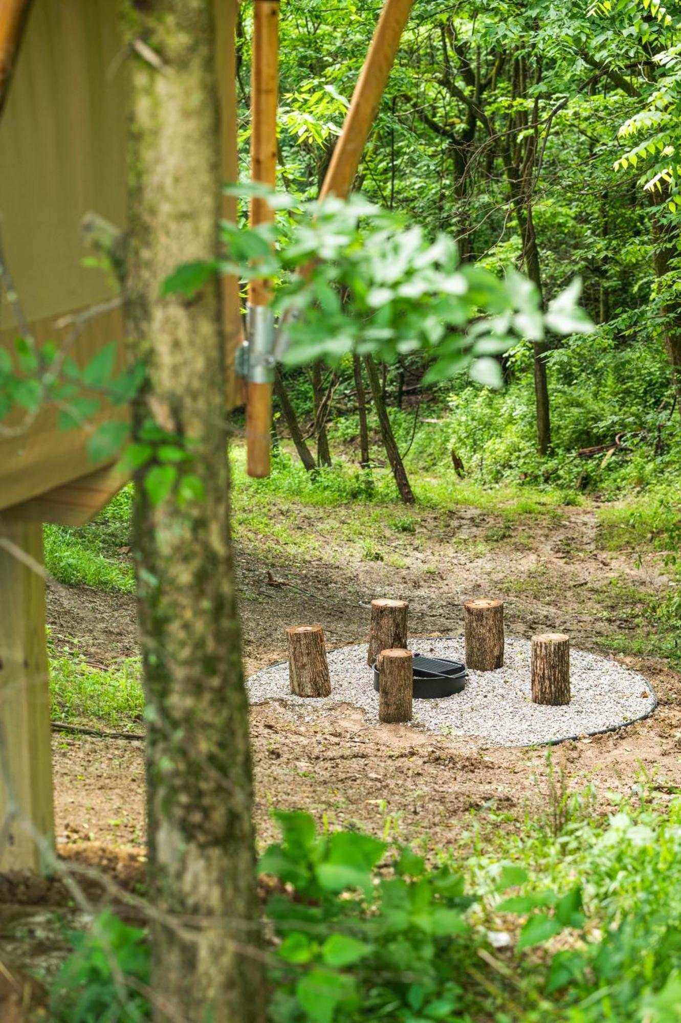 The Lodges At Eden Reserve - Safari Tents ويليامزتاون المظهر الخارجي الصورة